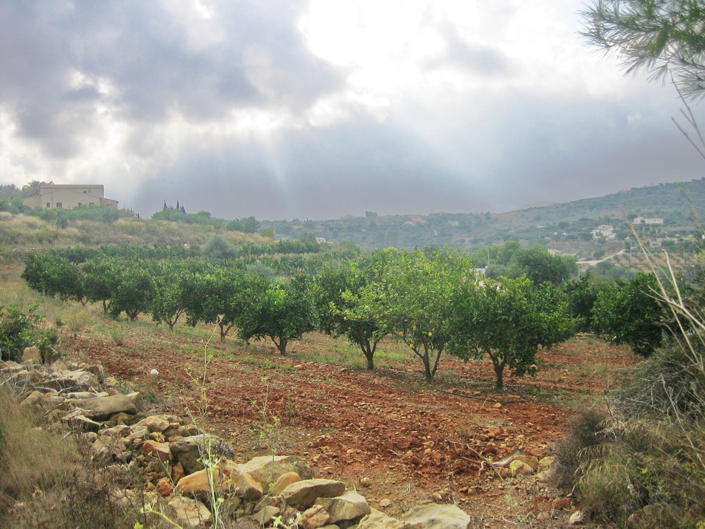 Land of 18,000 square meters in Benissa